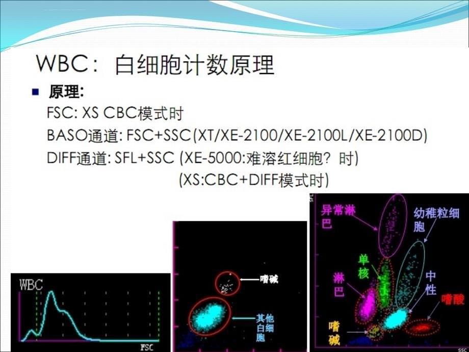 血细胞分析与临床意义课件_第5页