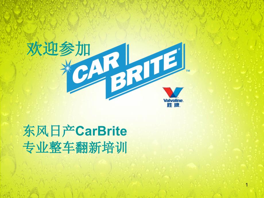 东风日产CarBrite专业整车翻新专项培训_第1页