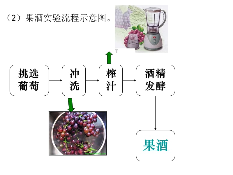 果酒和果醋的制作72454_第4页