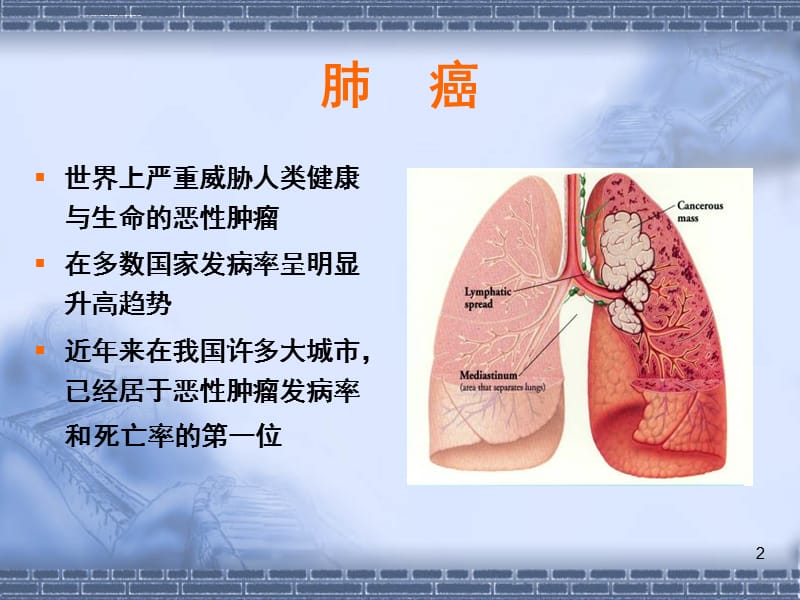 非小细胞肺癌的常用化疗方案PPT演示幻灯片课件_第2页