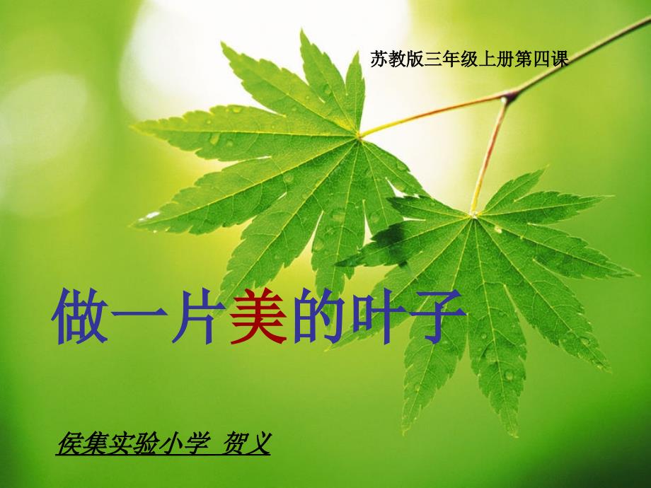 做一片美丽的叶子-_第1页