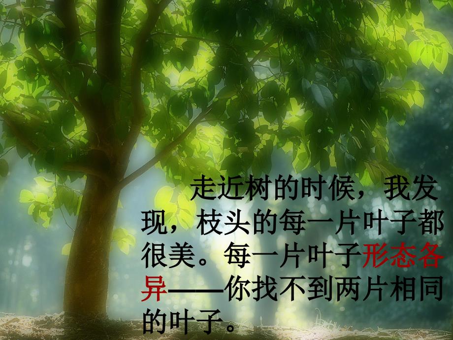 做一片美丽的叶子-_第4页