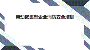 30 劳动密集型企业消防安全培训（48页）