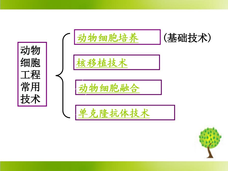 《动物细胞培养和核移植技术》参考课件2_第2页