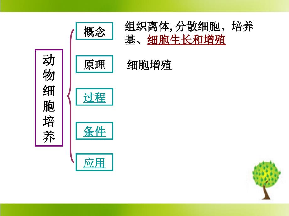 《动物细胞培养和核移植技术》参考课件2_第3页