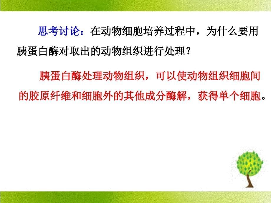 《动物细胞培养和核移植技术》参考课件2_第5页