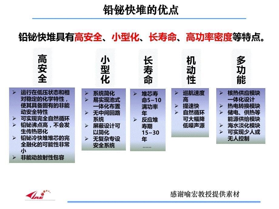 铅铋冷快堆燃料与结构材料的选择及主要问题(2019)课件_第5页