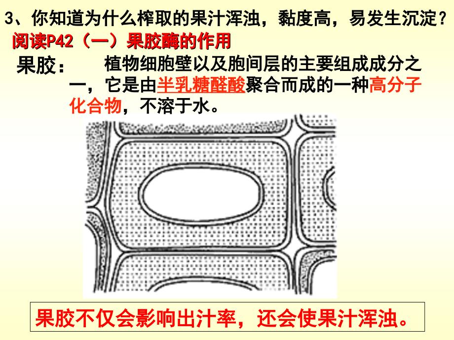 果胶酶在果汁生产中的作用定稿ppt_第3页