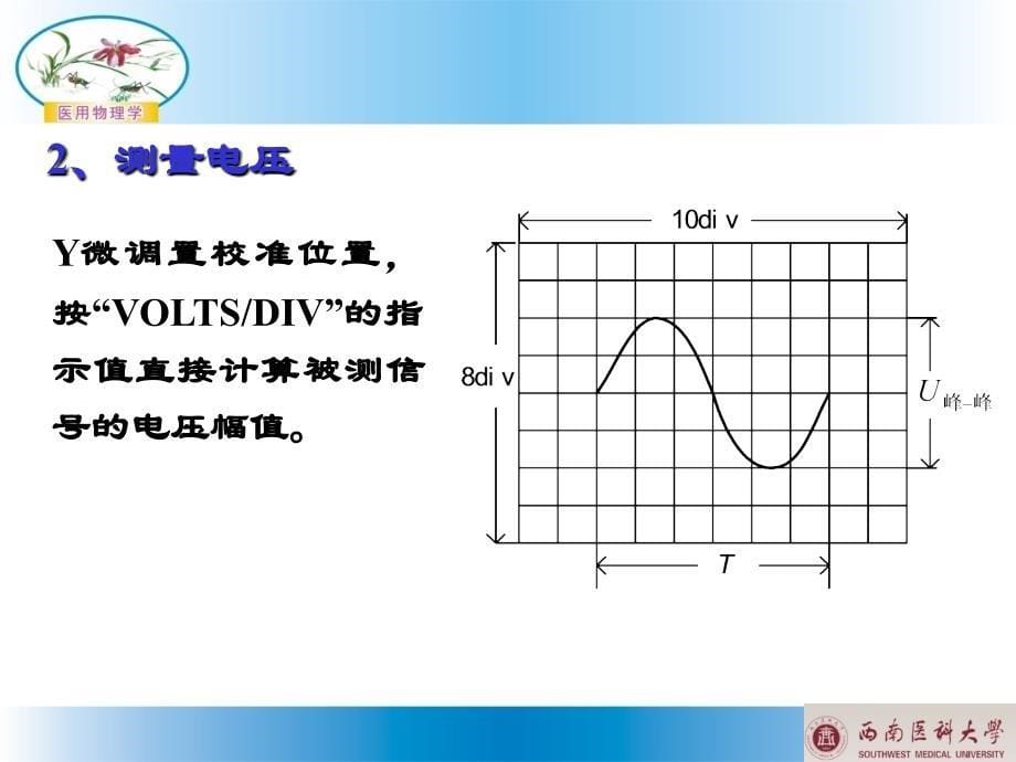 医用物理学 示波器的使用二 公开课课件_第5页