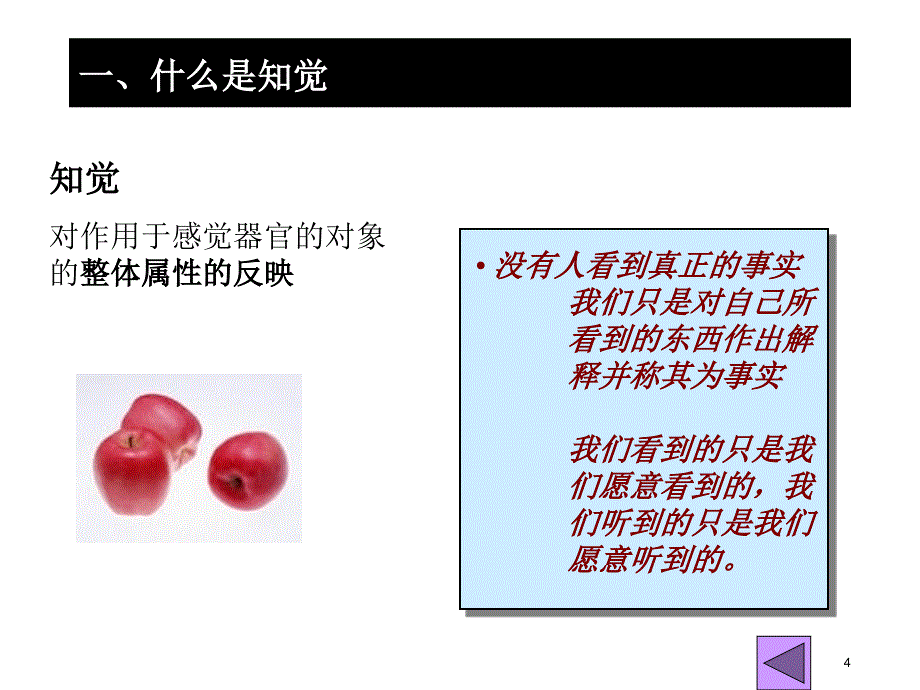 社会认知___管理心理学_第4页