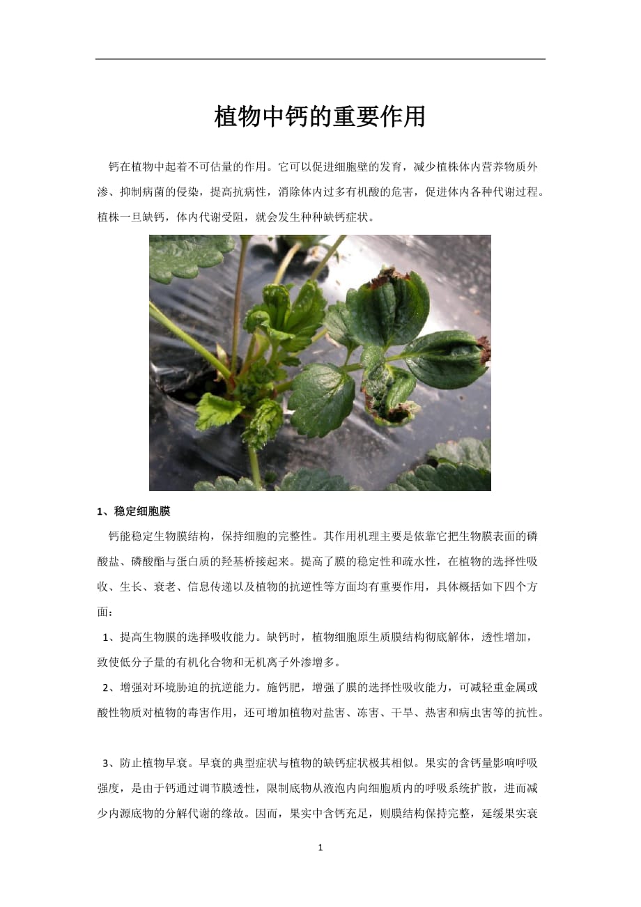 2020年十一月整理植物中钙重要作用.doc_第1页