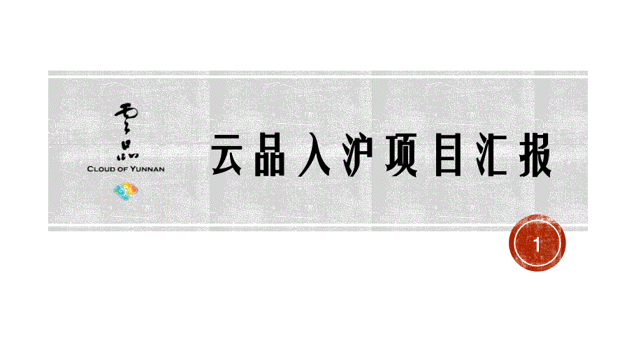 云品项目汇报培训资料_第1页