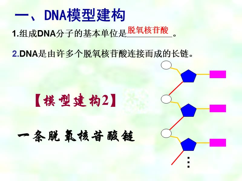 dna分子的结构PPT演示文稿_第5页