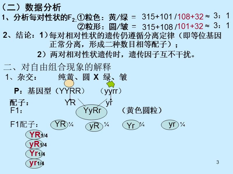 基因自由组合PPT演示文稿_第3页