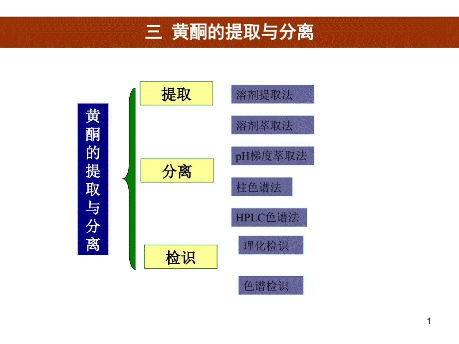 黄酮溶剂提取法PPT演示文稿_第1页