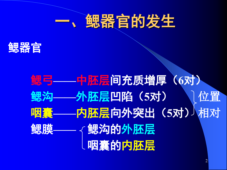 颜面与腭的发生PPT演示文稿_第2页