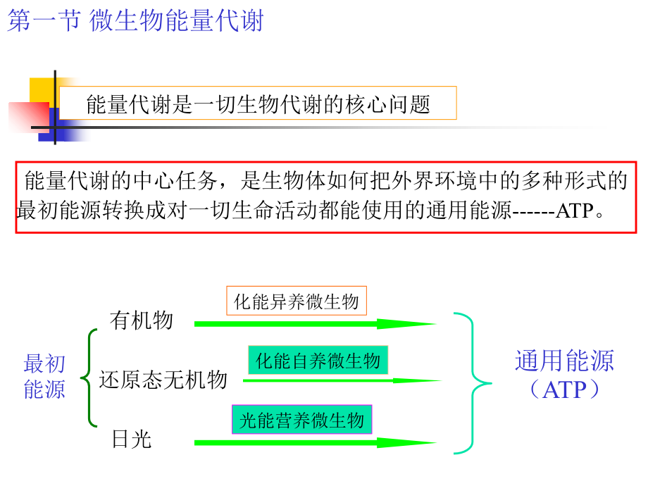 第五章微生物的代谢与调控ppt课件_第3页