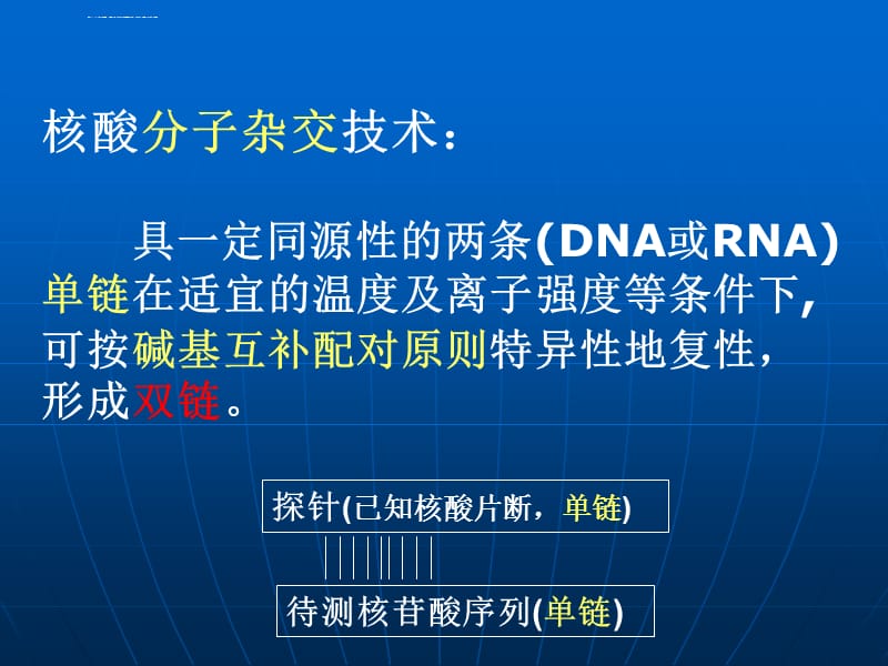 第五章核酸分子杂交技术ppt课件_第2页