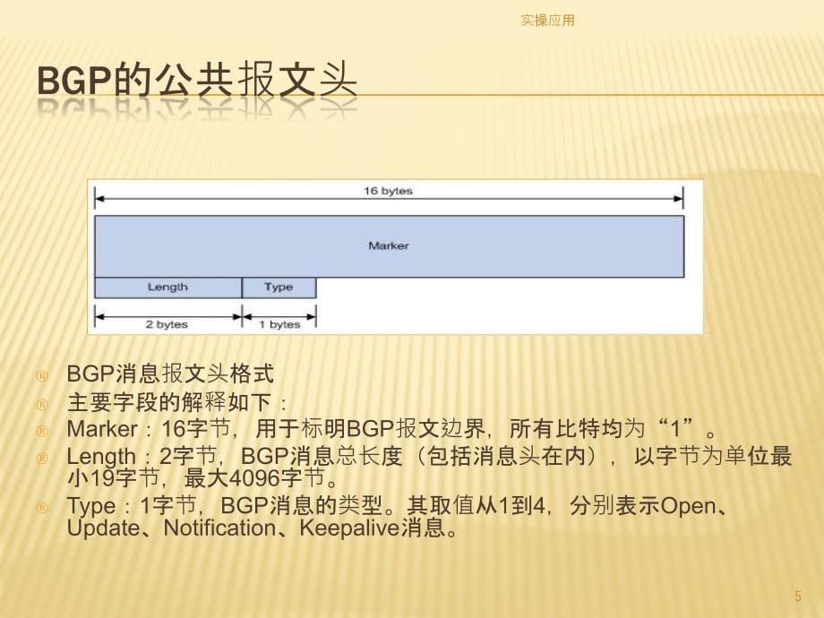 bgp报文分析【精制材料】_第5页