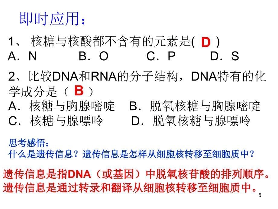 基因表达复习课ppt课件_第5页