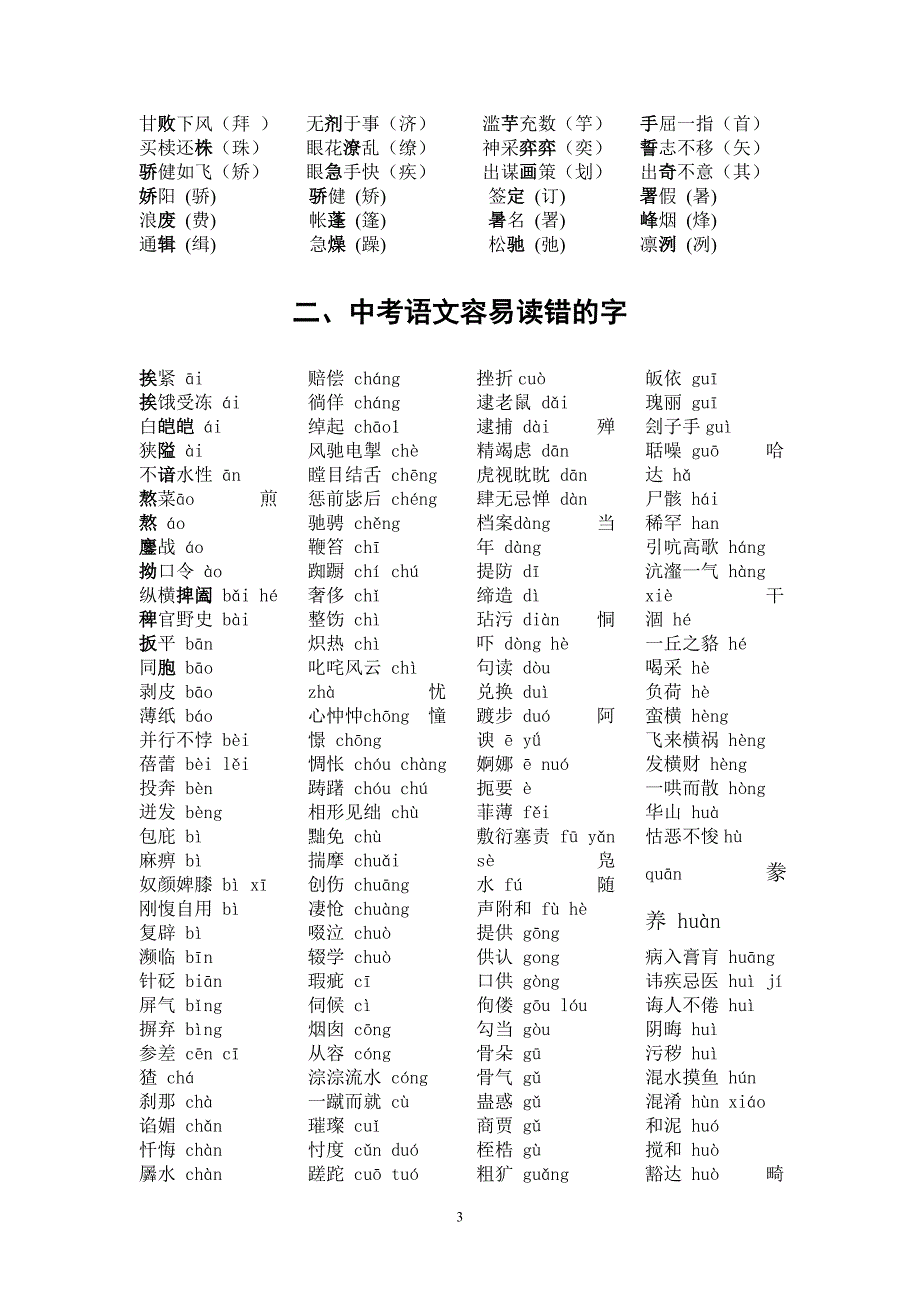 中考语文总复习资料（人教版）_第3页