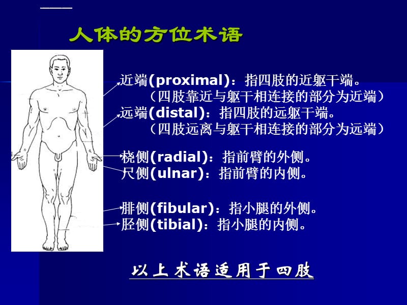 绪论、运动系统、神经系统ppt课件_第4页