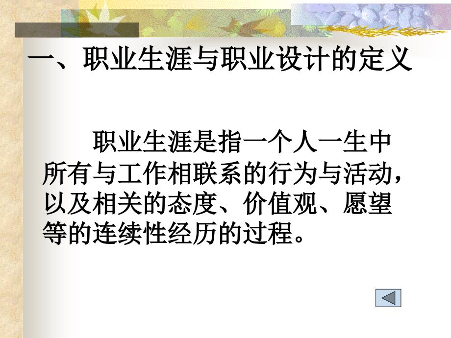 职业生涯发展咨询与管理ppt课件_第3页