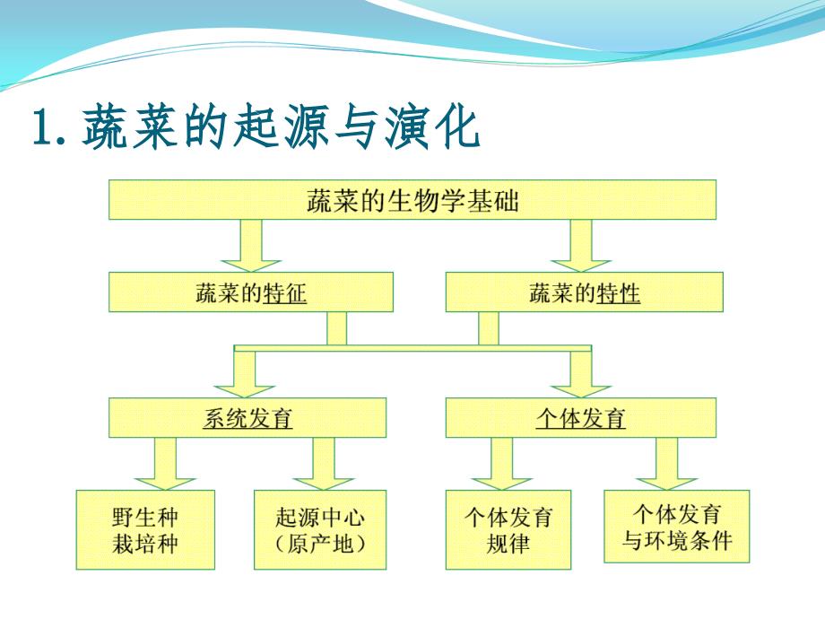 蔬菜的起源与分类PPT课件_第4页