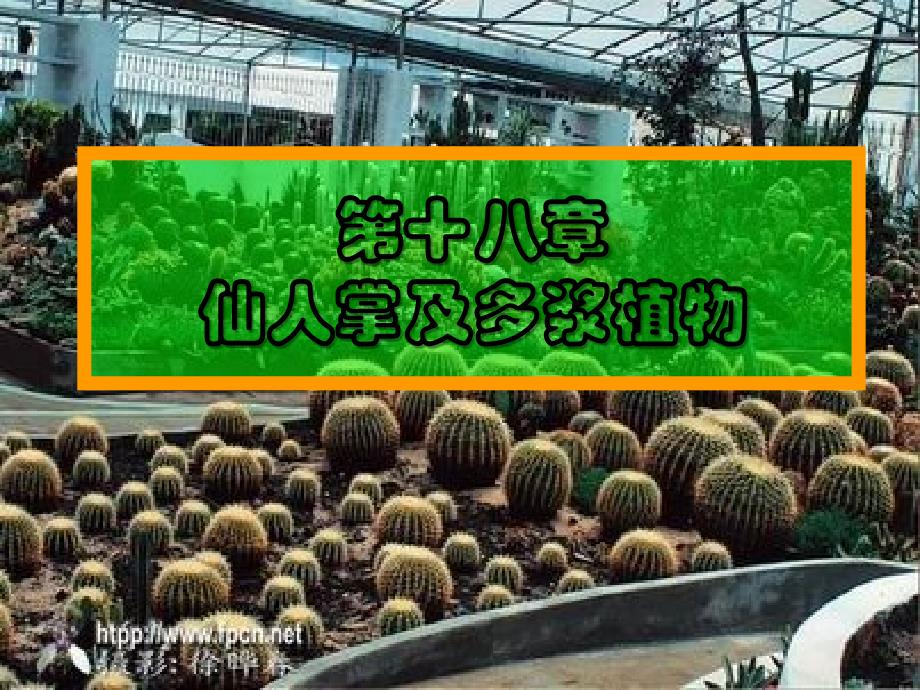 花卉学仙人掌科及多浆植物ppt课件_第1页