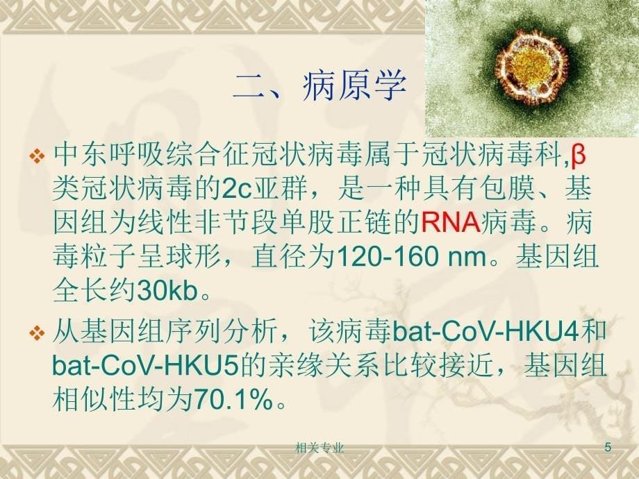 中东呼吸综合征病例诊疗方案【研究荟萃】_第5页