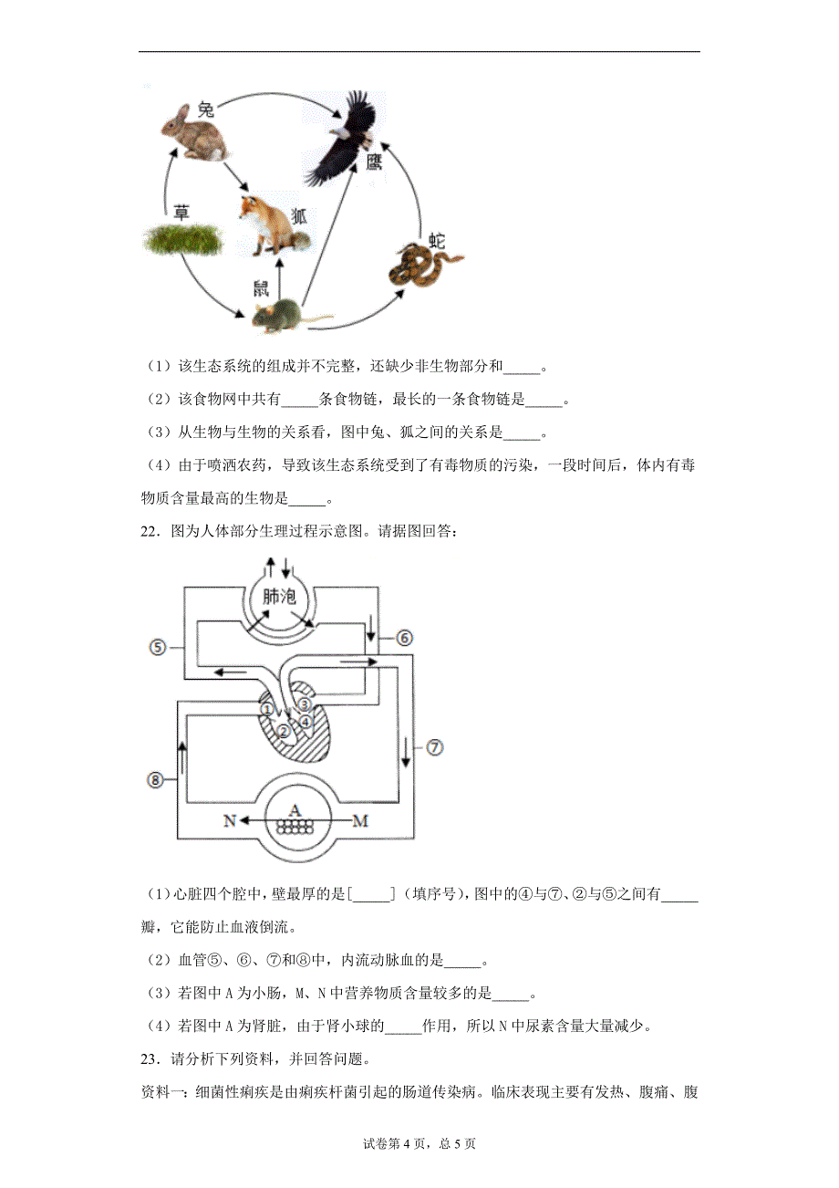 2019年安徽省九年级中考一模生物试题_第4页