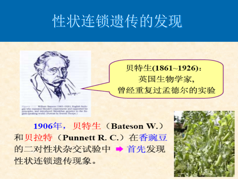 遗传学第三章 连锁互换和基因作图PPT课件123_第3页