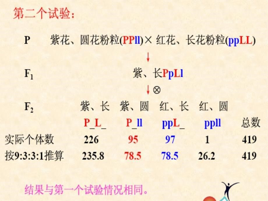 遗传学第三章 连锁互换和基因作图PPT课件123_第5页