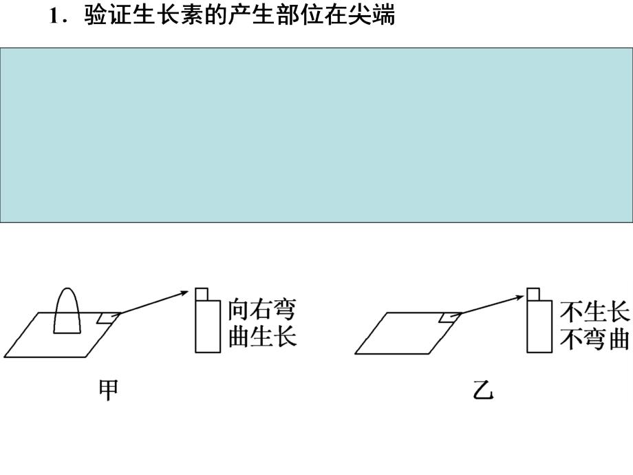 植物激素相关的实验设计【课资课堂】_第2页