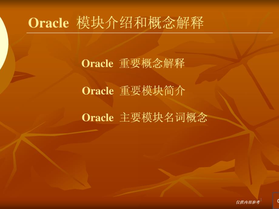 oracleerp相关名称概念解释PPT课件_第1页