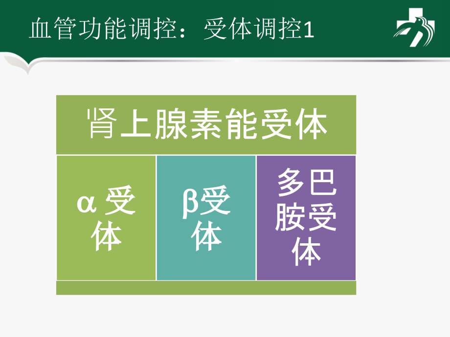 血管活性药物在重症患者中的应用PPT课件123_第3页