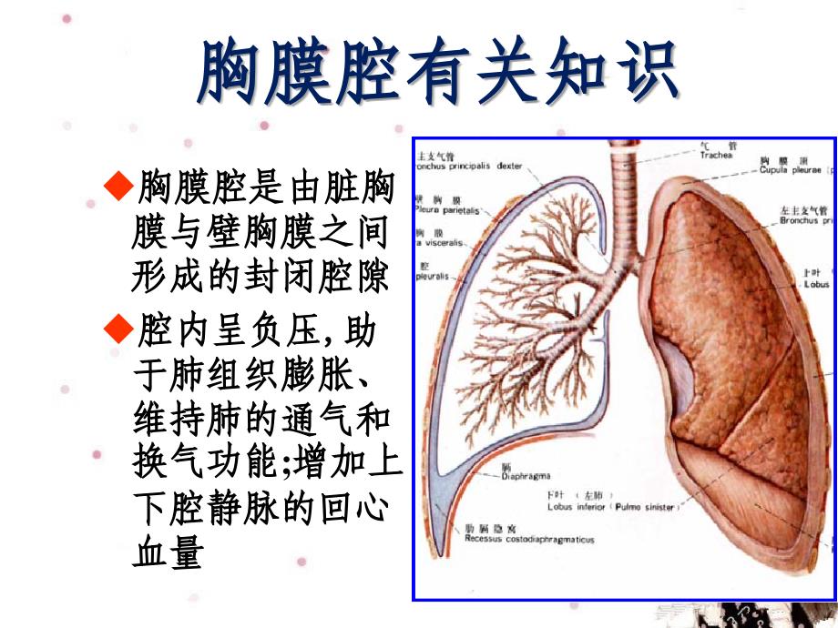 胸腔闭式引流术课件PPT课件123_第3页