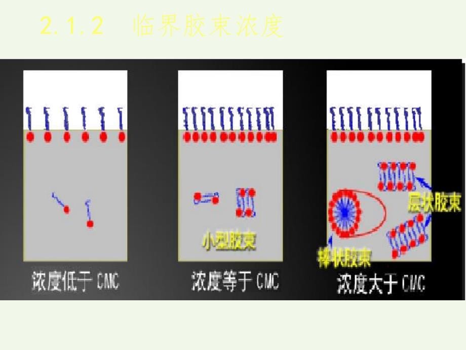 表面活性剂应用导论-第2章表面活性剂的作用原理PPT课件_第5页