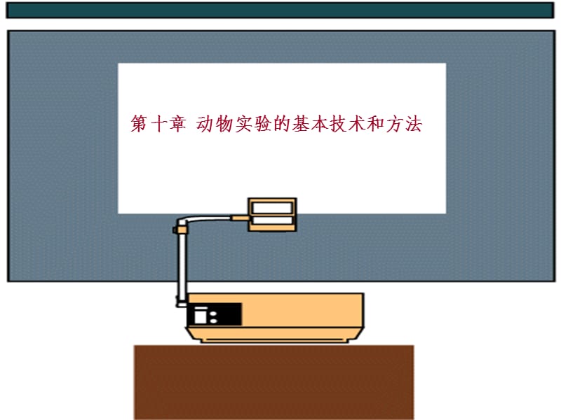 动物实验的基本技术和方法PPT课件_第1页