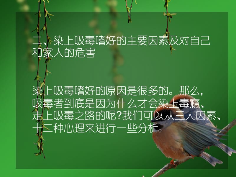 把积极和快乐还给自己PPT课件_第5页