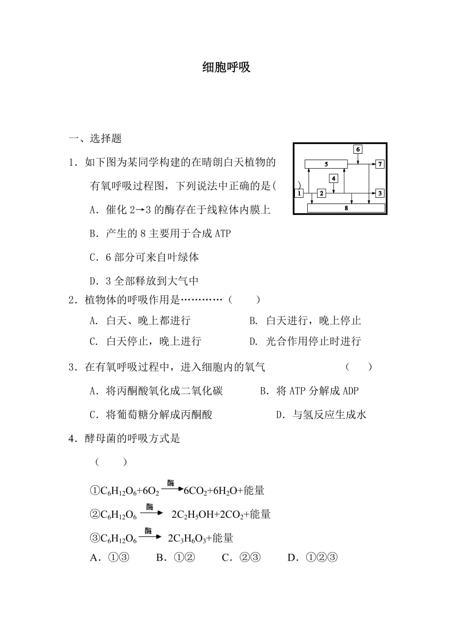 高一生物细胞呼吸检测试题_第1页