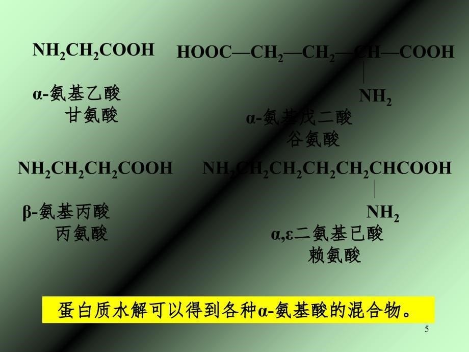 氨基酸、蛋白质、核酸PPT课件_第5页