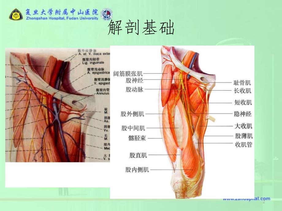 股动脉穿刺点人工压迫的改良PPT课件_第2页