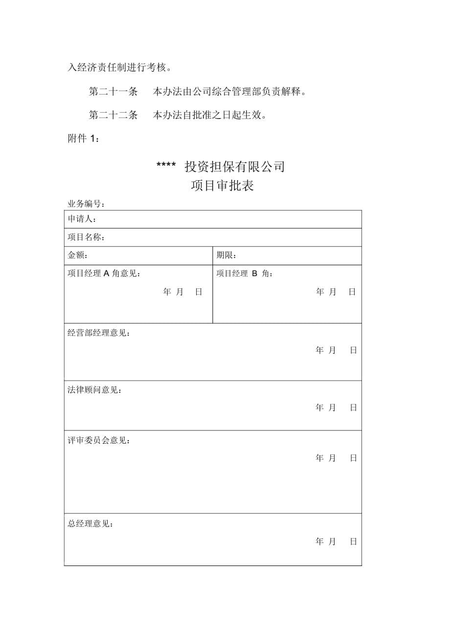 投资担保公司项目决策_第5页