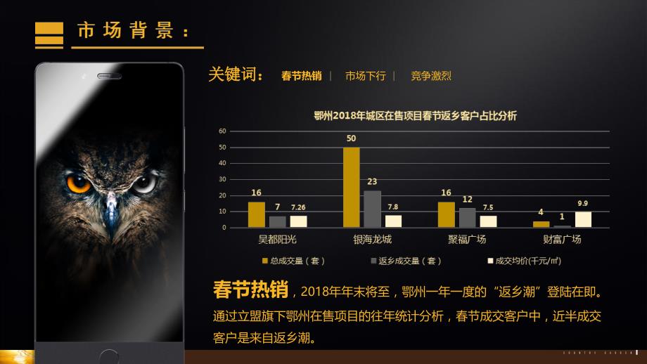 【活动】返乡置业：碧桂园黄金时代-2019年春节营销_第2页