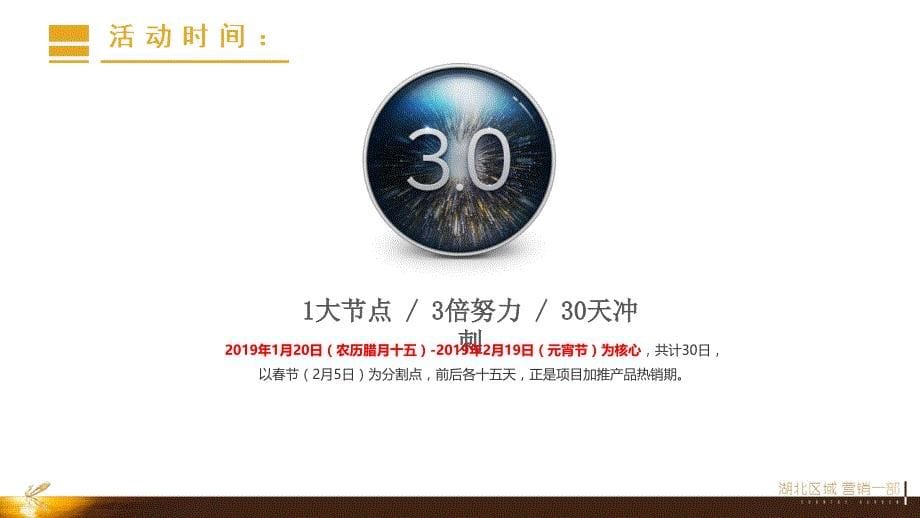 【活动】返乡置业：碧桂园黄金时代-2019年春节营销_第5页