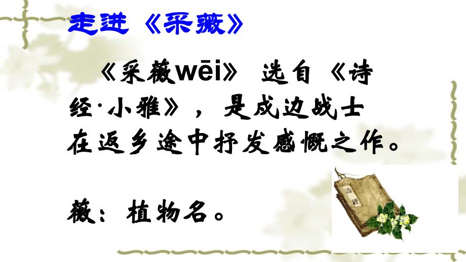 部编六年级下册古诗词诵读《诗经采薇》《送元二使安西》PPT课件_第3页