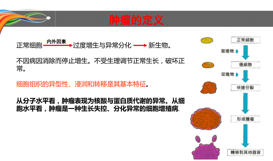 肿瘤及化疗基础知识医学课件_第1页