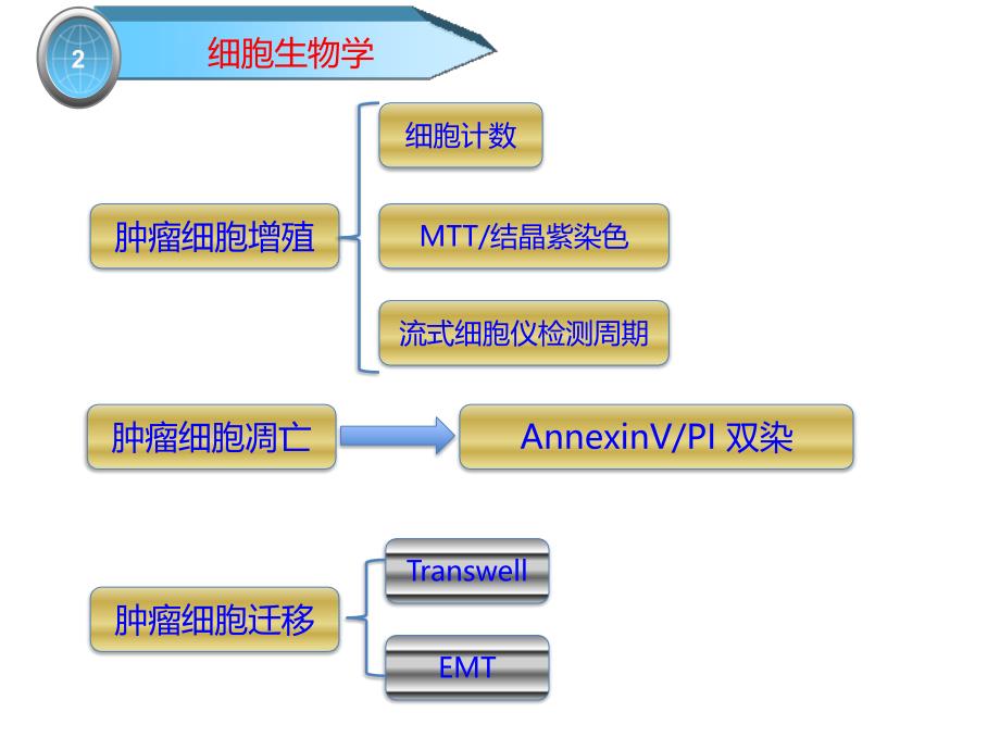 肿瘤研究中常用的方法与问题医学课件_第4页