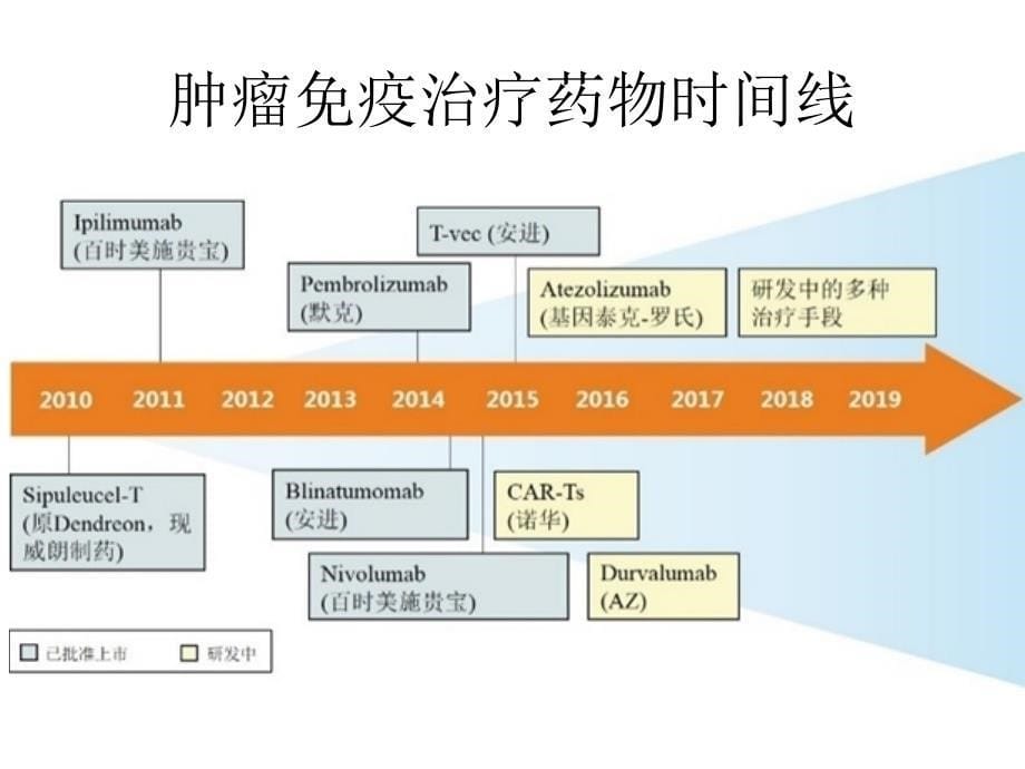 肿瘤的免疫治疗医学课件_第5页